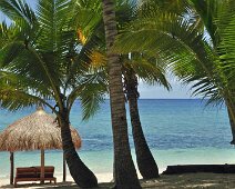 Havre de paix Siquijor
